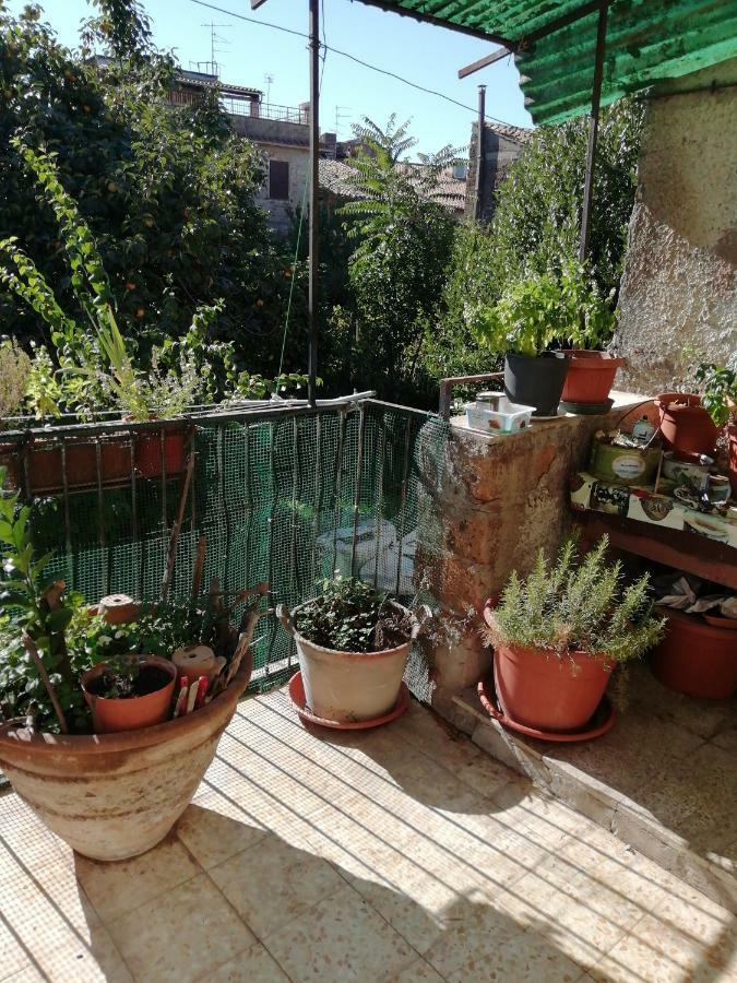 Relax Dal Caos Di Citta Apartamento Barbarano Romano Exterior foto